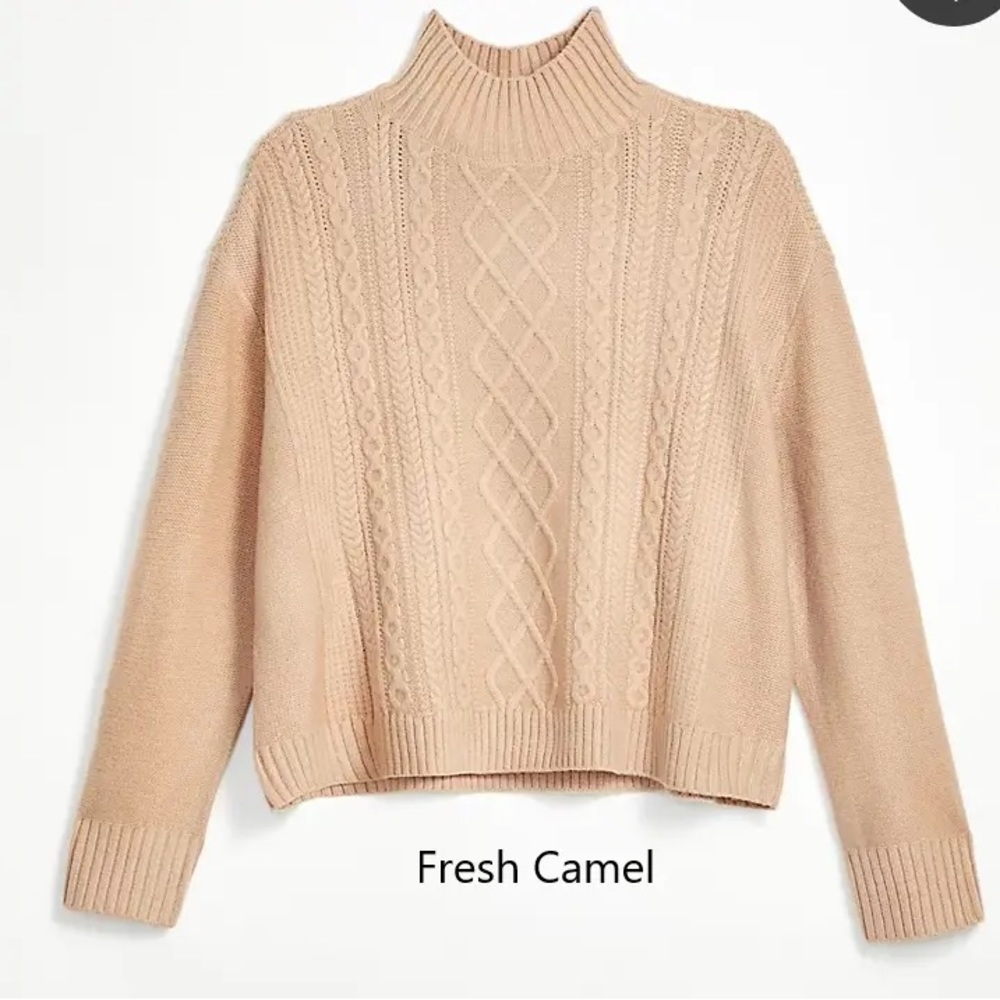 Loft turtleneck cable sweater
